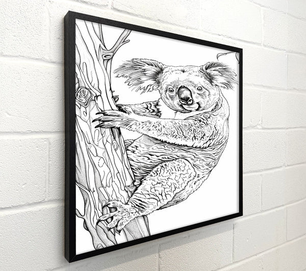 Black And White Koala Hugging Tree