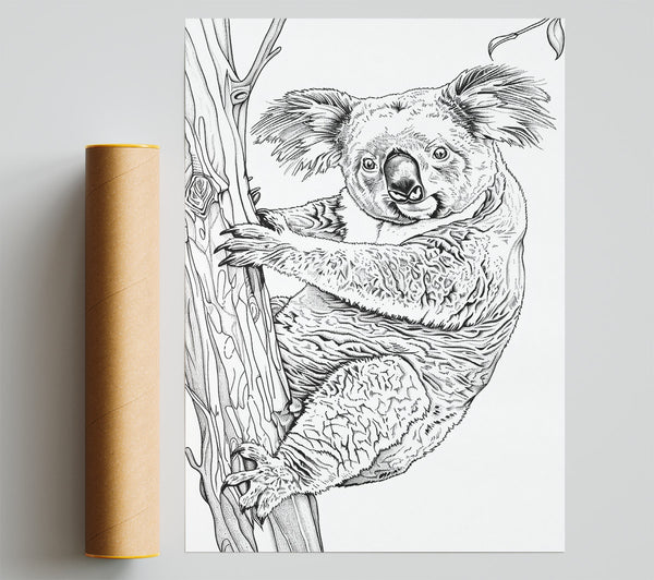 Black And White Koala Hugging Tree Poster