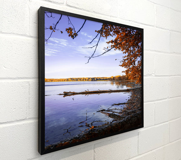 Purple Autumn Reflections