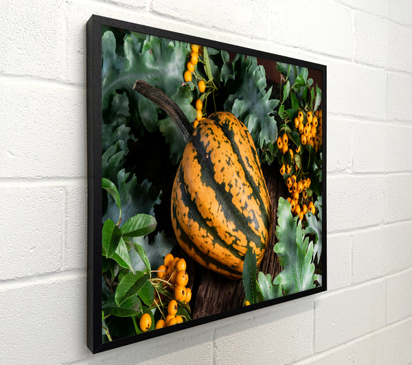 Golden Striped Gourd