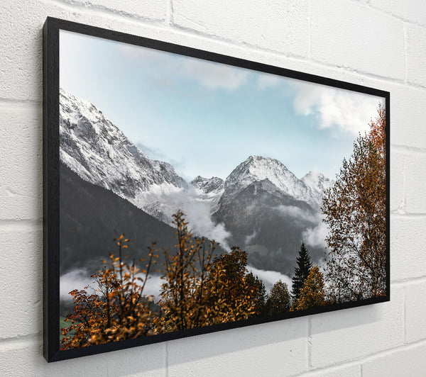 Golden Mountain Mist