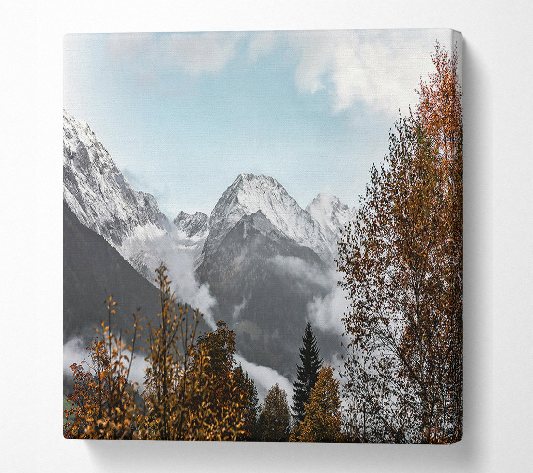  A Canvas Print of Golden Mountain Mist Canvas Print