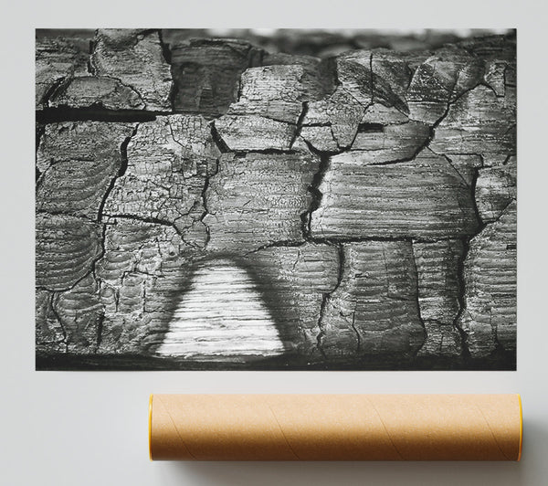 Blackened Wood Grain Giclee Print