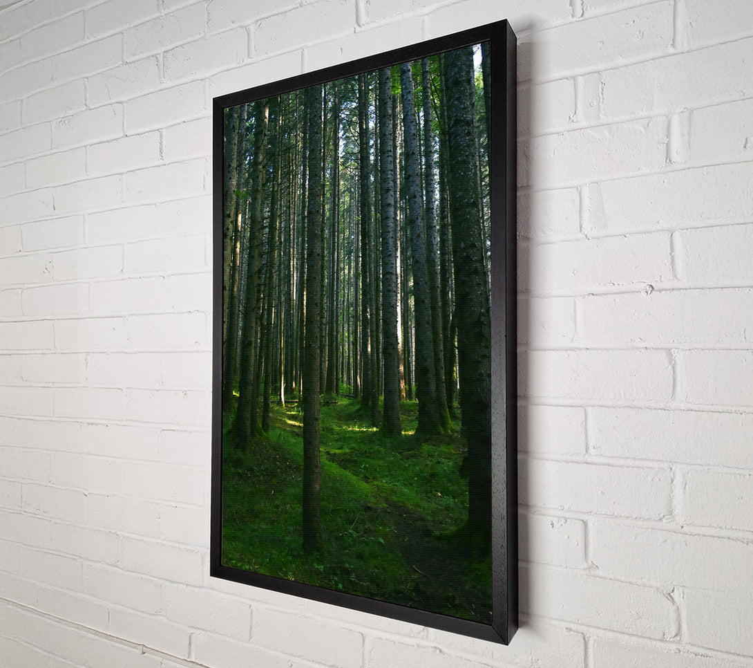  A Canvas Print of Emerald Forest Path Canvas Art