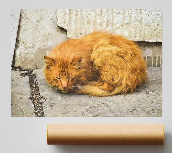 Ginger Cat Slumber Poster