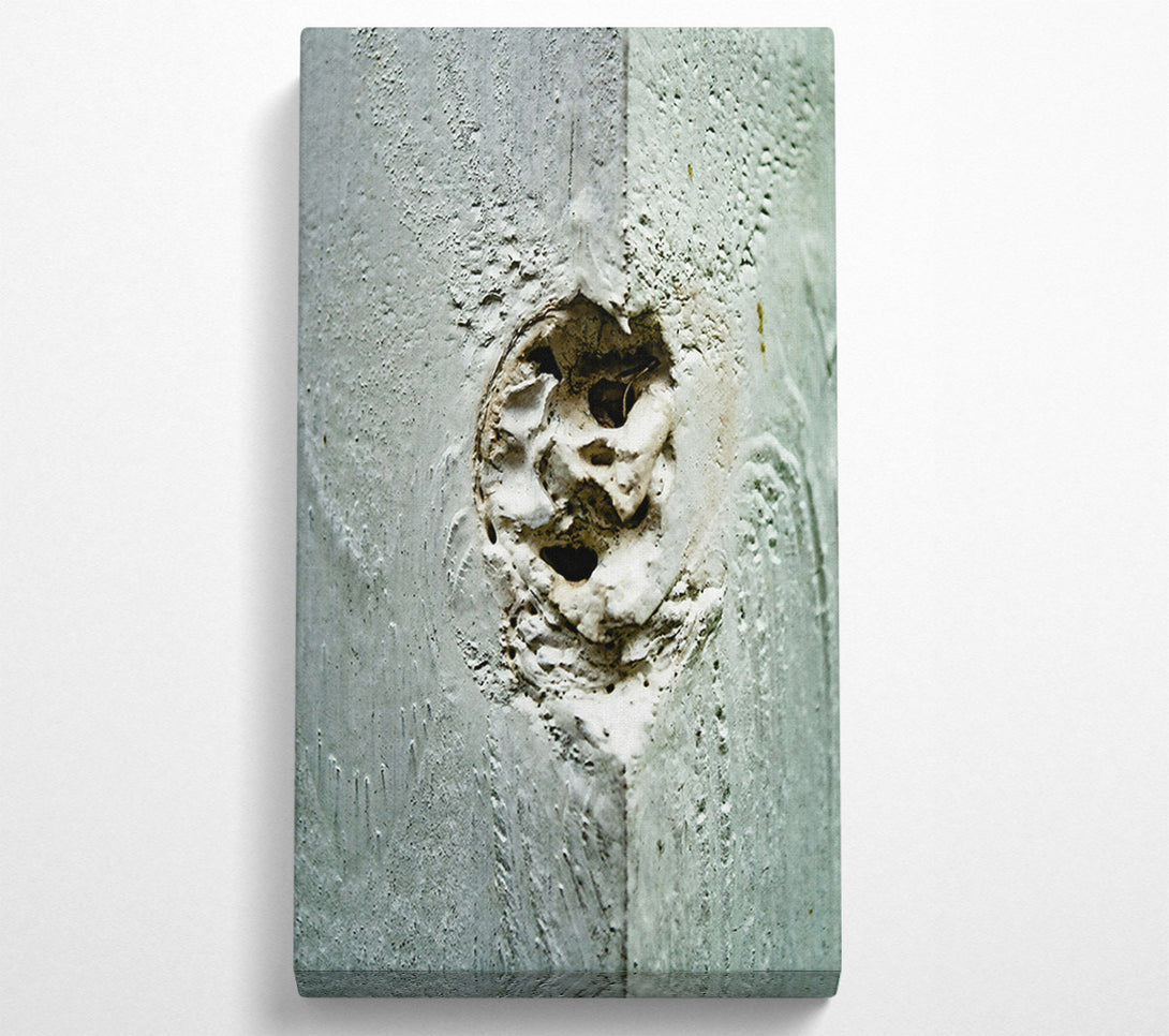  A Canvas Print of Pale Grey Imprint Canvas Wall Art
