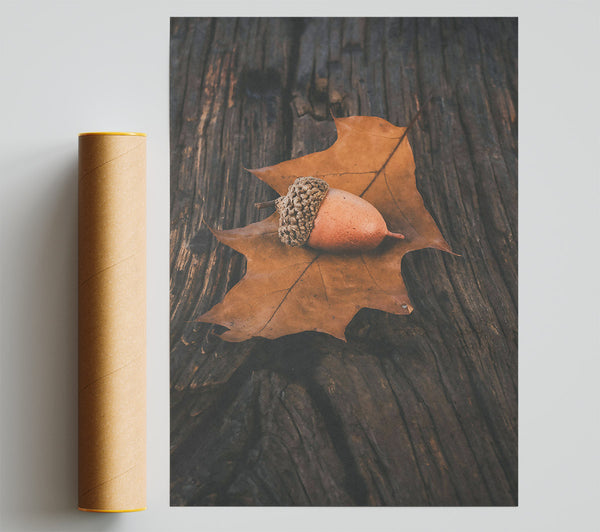 Brown Acorn On Leaf Print