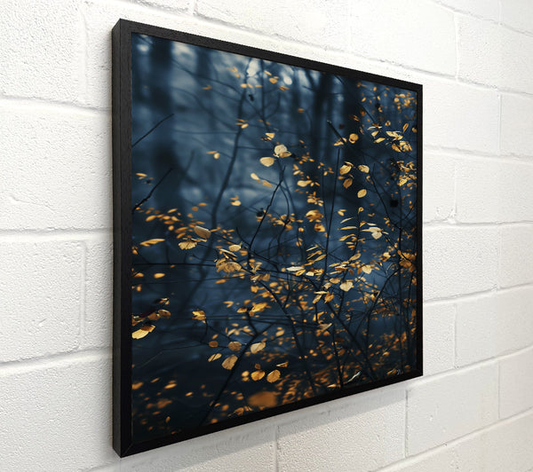 Blue Haze Golden Leaves.