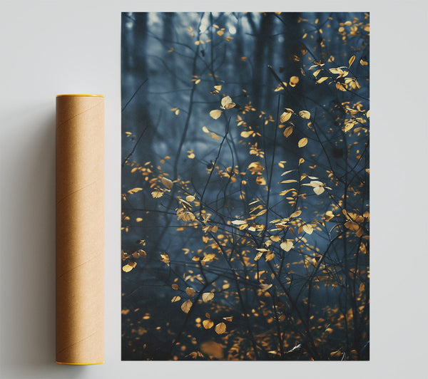Blue Haze Golden Leaves. Poster