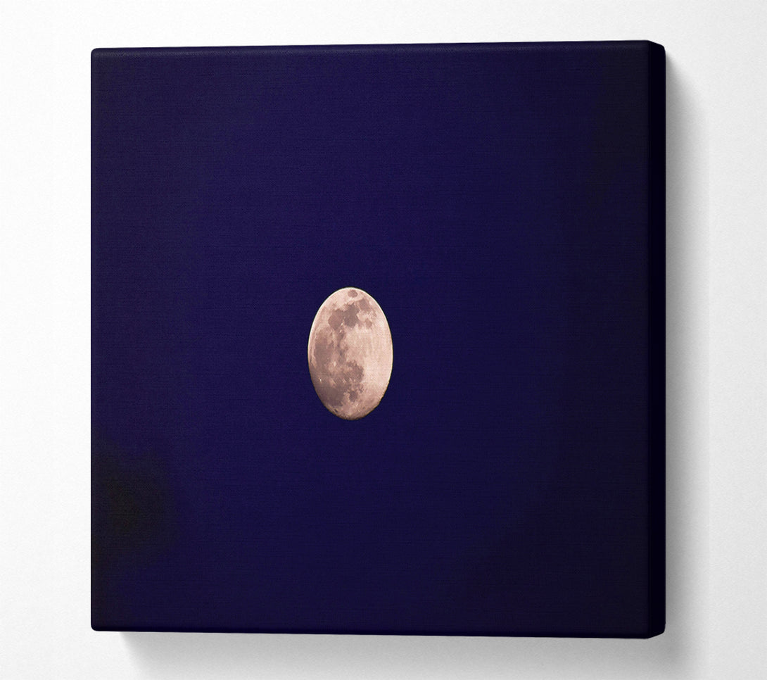  A Canvas Print of Silver Moonlit Night Canvas Wall Art