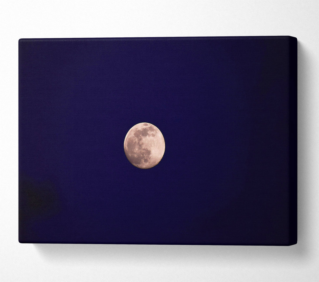  A Canvas Print of Silver Moonlit Night Canvas Wall Art