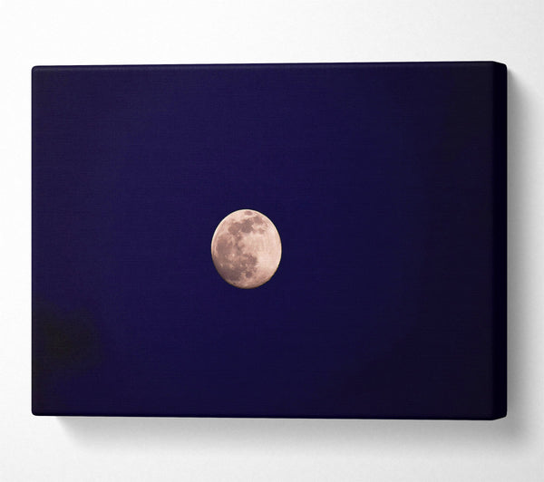  A Canvas Print of Silver Moonlit Night Canvas Wall Art