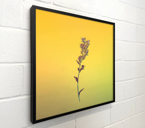Yellow Stem Silhouette