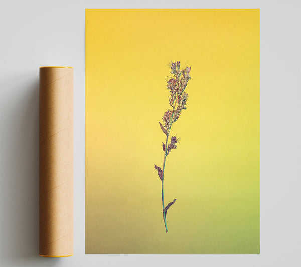 Yellow Stem Silhouette Poster