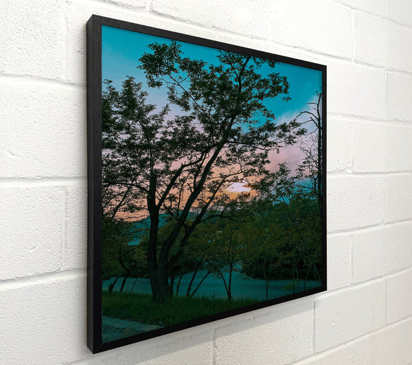 Teal Sunset Silhouette