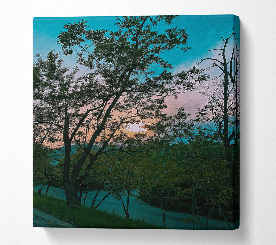  A Canvas Print of Teal Sunset Silhouette Canvas Art