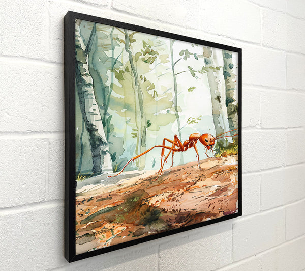Orange Ant In The Woods