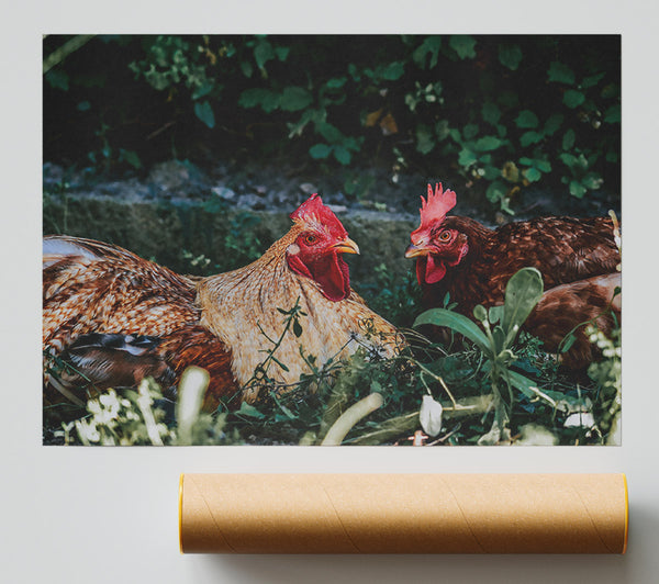 Brown Feathers In The Green Giclee Print