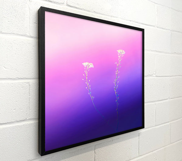 Purple Bloom Dreams