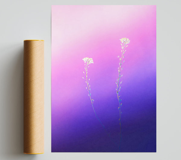 Purple Bloom Dreams Poster