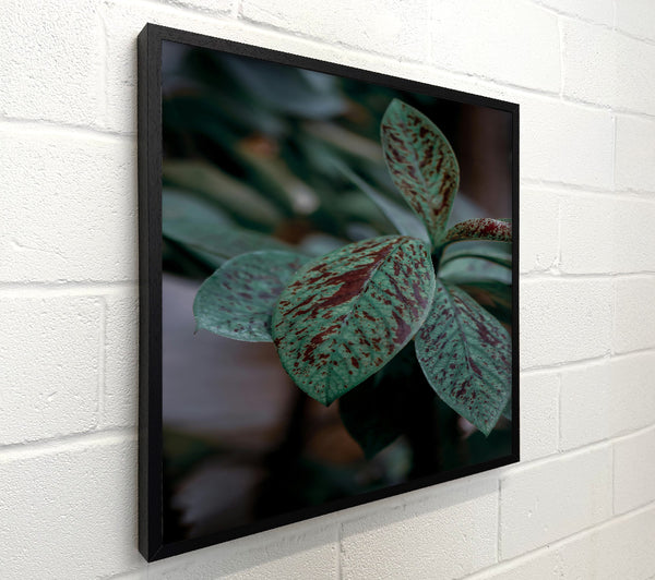 Emerald Splotched Leaves