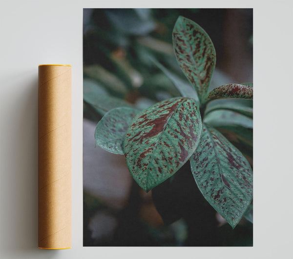 Emerald Splotched Leaves Poster
