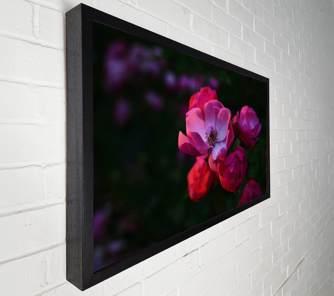  A Canvas Print of Pink Rose Bloom Canvas Art