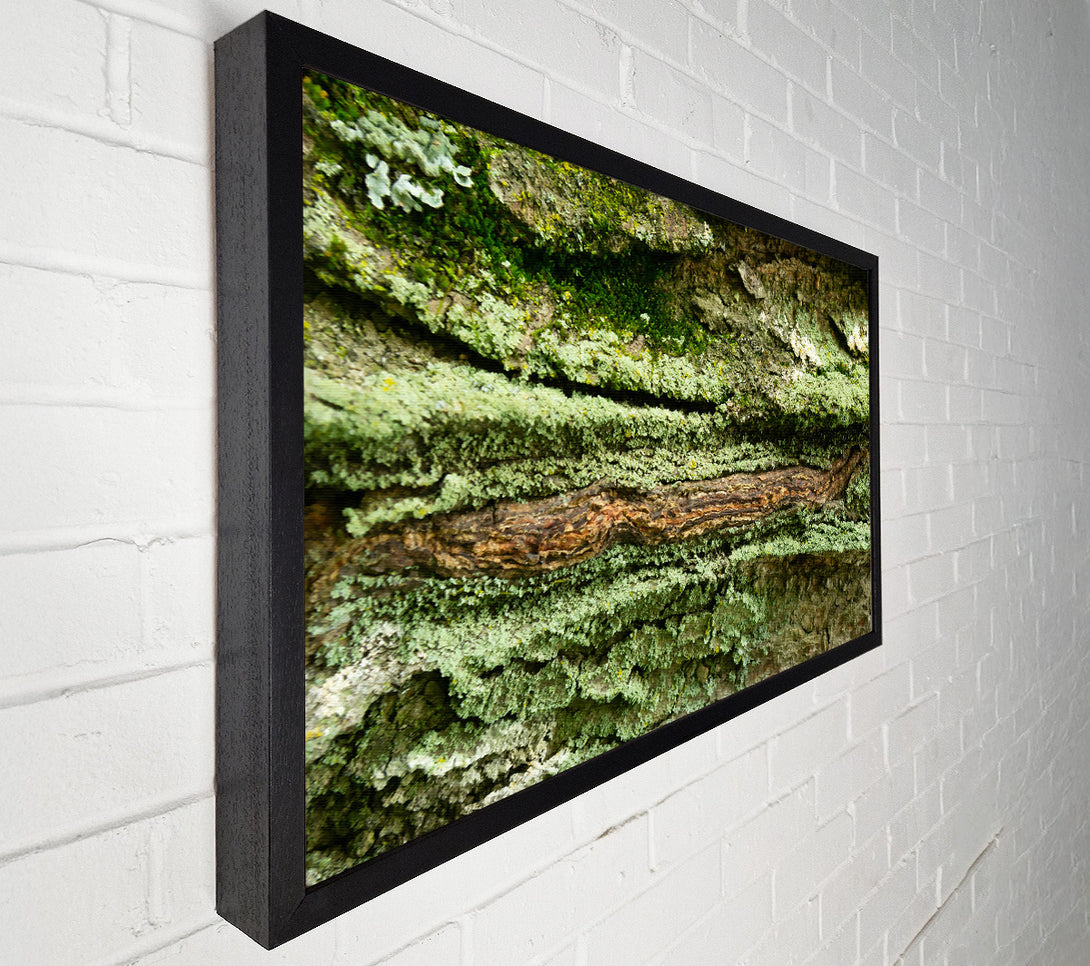  A Canvas Print of Green Bark Texture Canvas Print