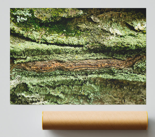 Green Bark Texture Poster