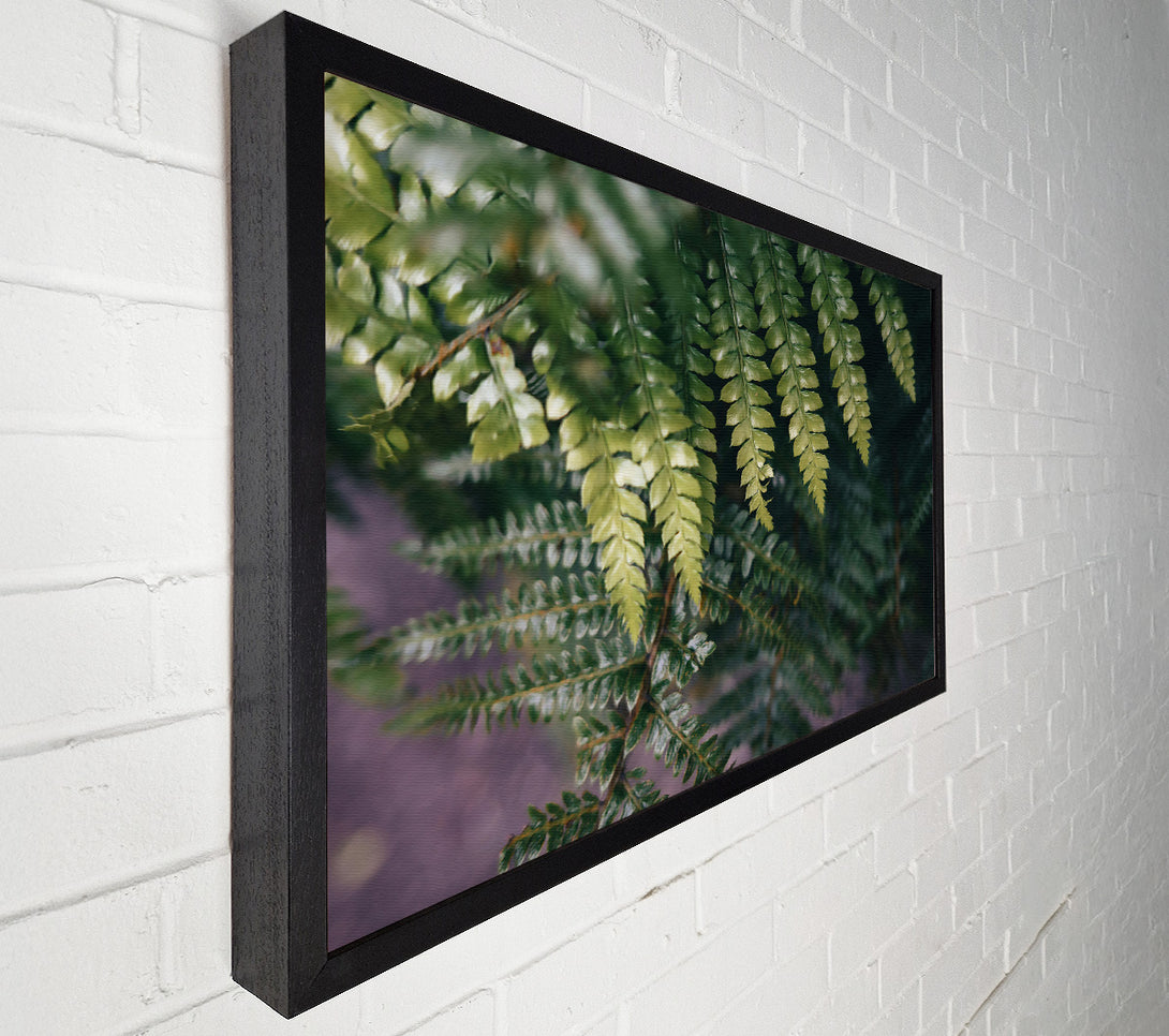  A Canvas Print of Emerald Fern Fronds Canvas Art