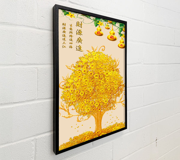 Gold Coin Tree  Plant