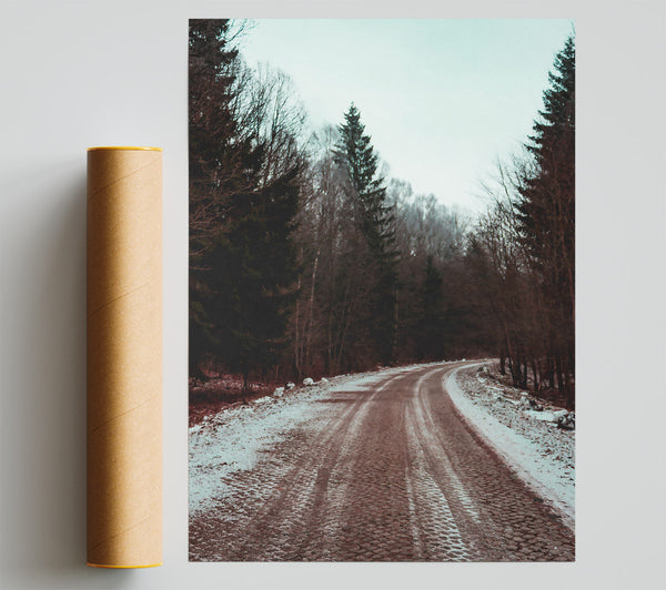 Brown Road Through Snow Poster