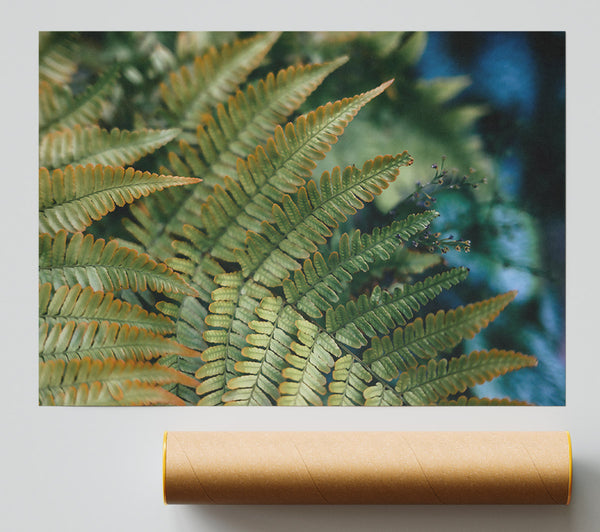 Golden Green Ferns Giclee Print