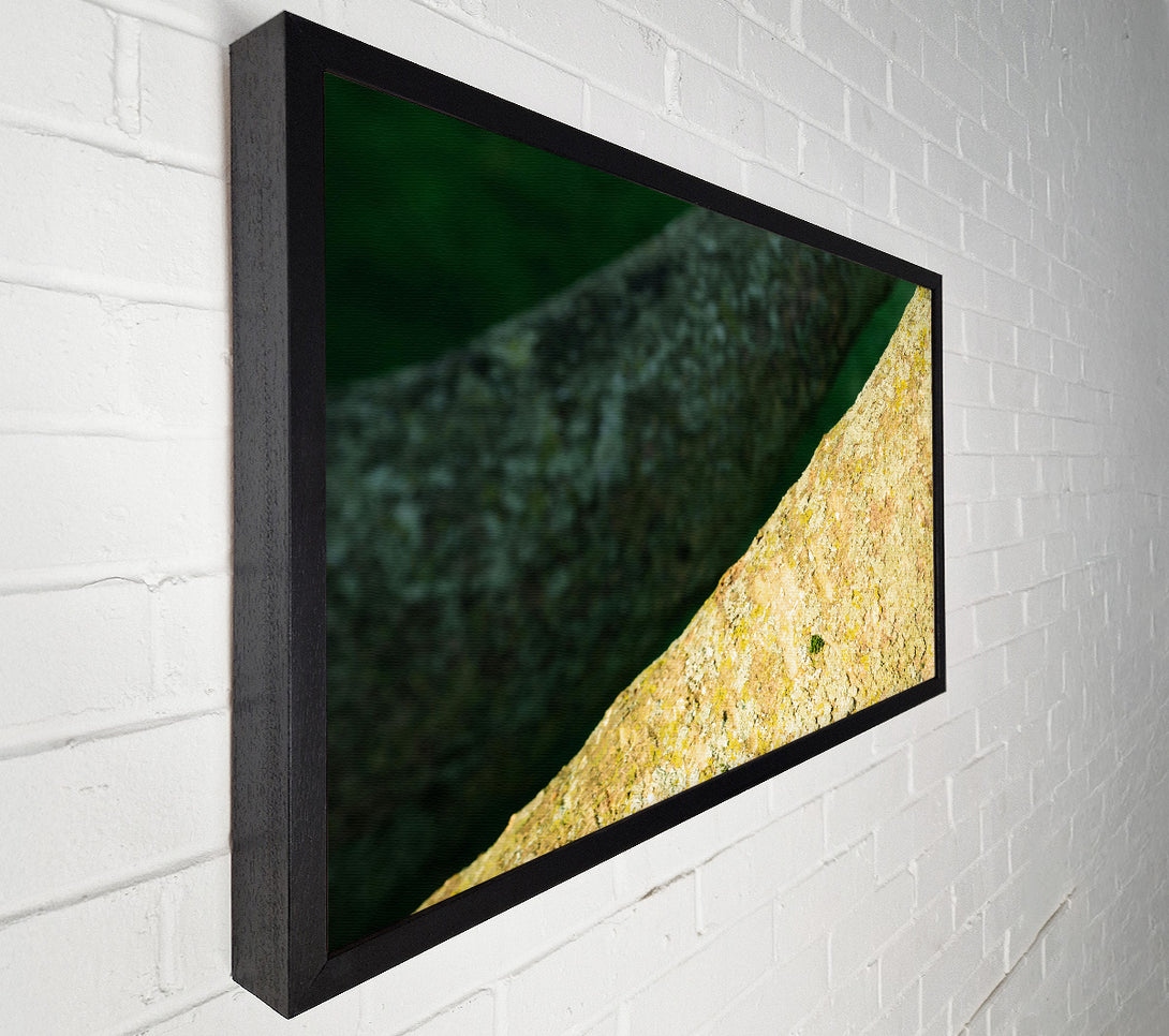  A Canvas Print of Golden Bark Texture Canvas Wall Art