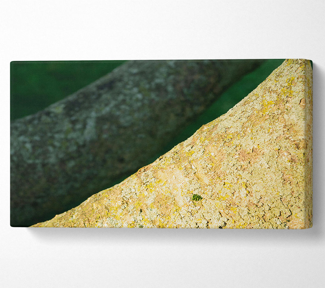  A Canvas Print of Golden Bark Texture Canvas Wall Art