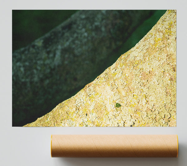 Golden Bark Texture Giclee Print