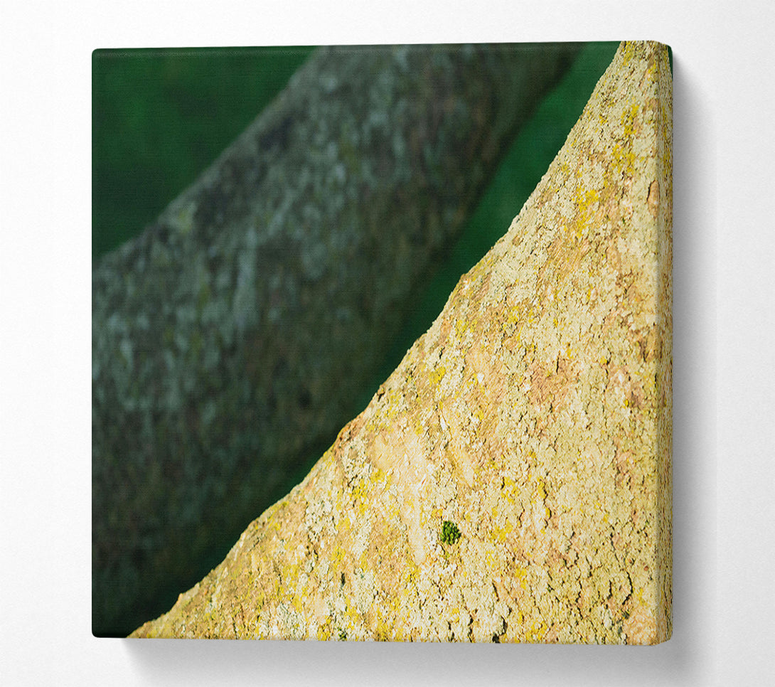 A Canvas Print of Golden Bark Texture Canvas Wall Art