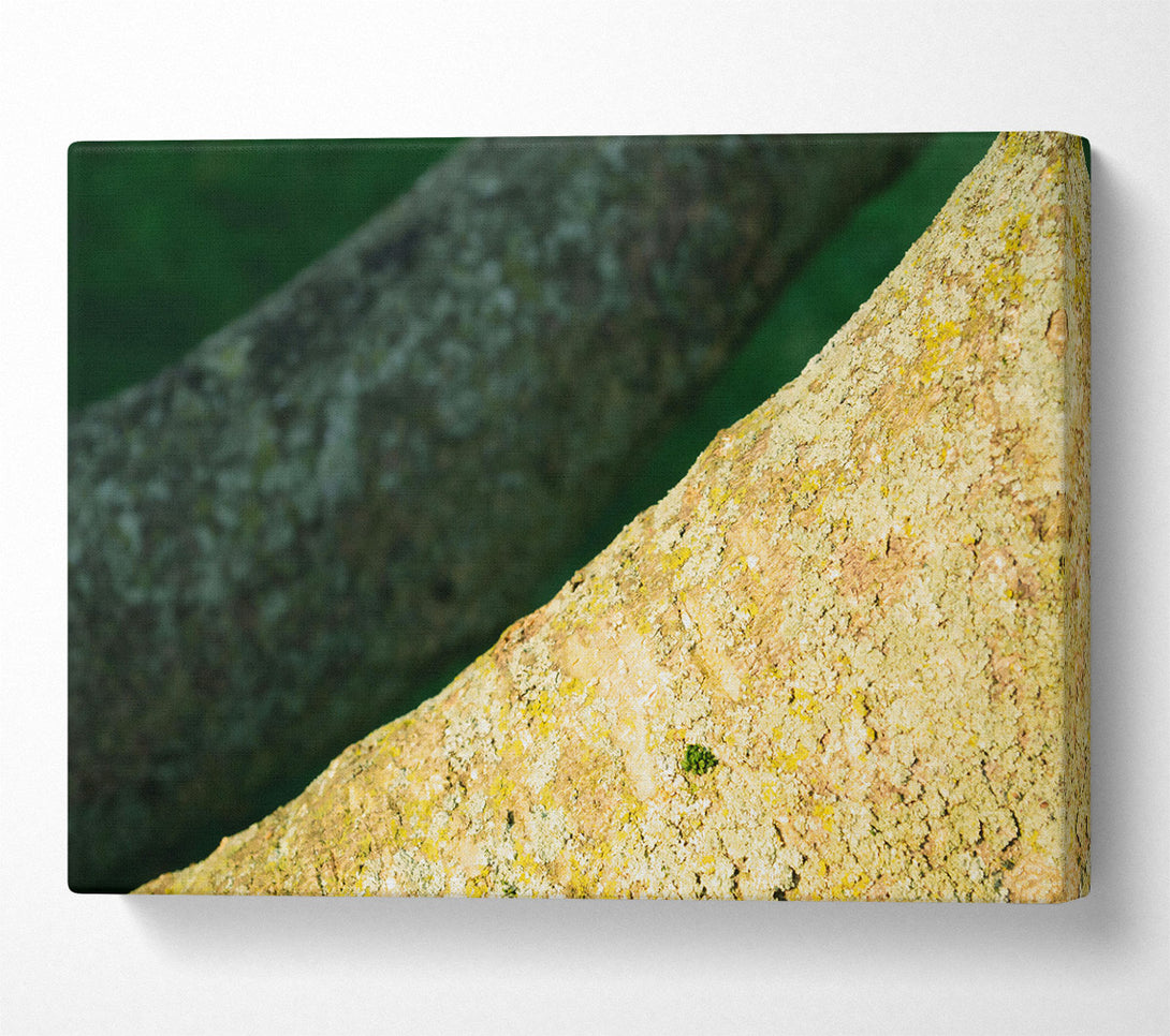  A Canvas Print of Golden Bark Texture Canvas Wall Art