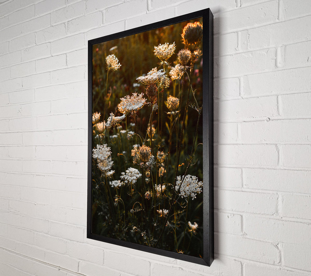  A Canvas Print of Golden Hour Blooms Canvas Art