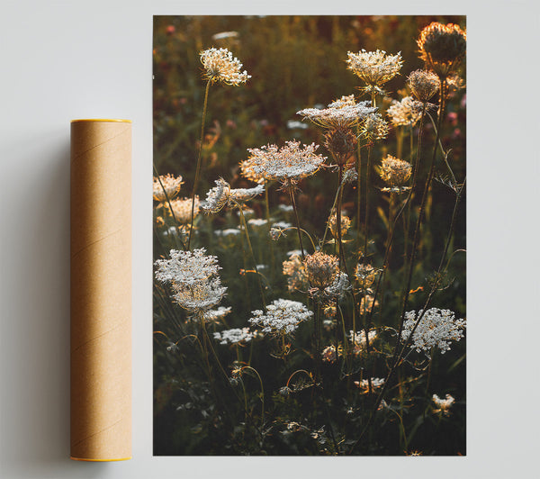 Golden Hour Blooms Giclee Print