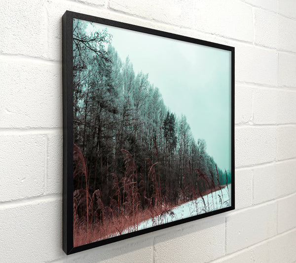 Teal Frozen Woods
