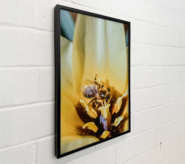 Golden Pollen Dance