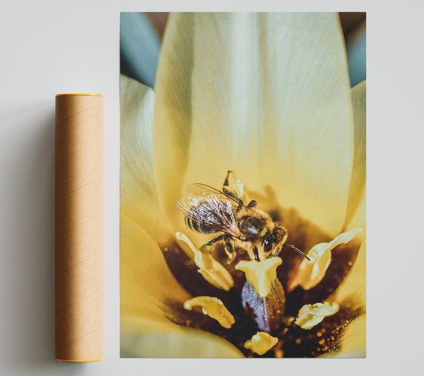 Golden Pollen Dance Giclee Print