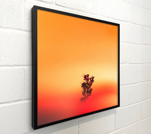Pink Flower Silhouette Sunset