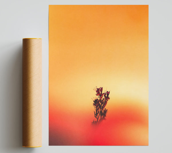 Pink Flower Silhouette Sunset Print