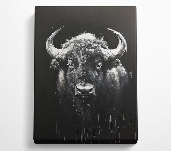  A Canvas Print of White Bison Stare Canvas Art