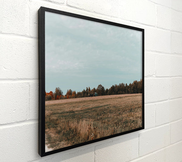 Brown Field Horizon