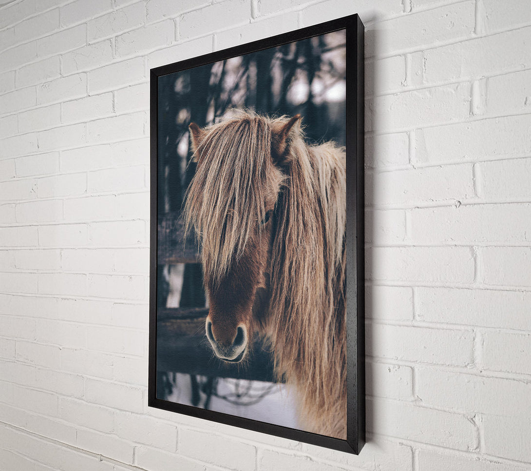  A Canvas Print of Brown Horse In Snow Canvas Print