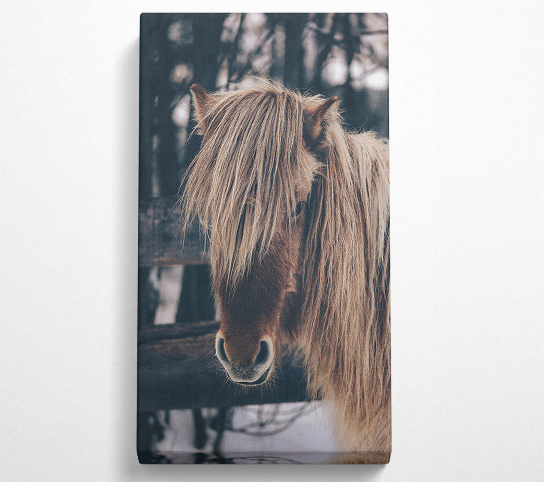  A Canvas Print of Brown Horse In Snow Canvas Print