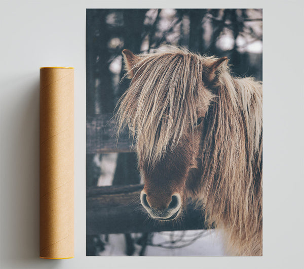 Brown Horse In Snow Poster